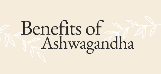 How can Ashwagandha be useful for you?