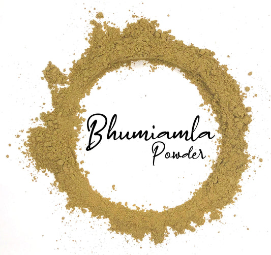 Wholesale Spices & Herbs - Bhumiamla Powder, Organic 8oz (227g) Bag