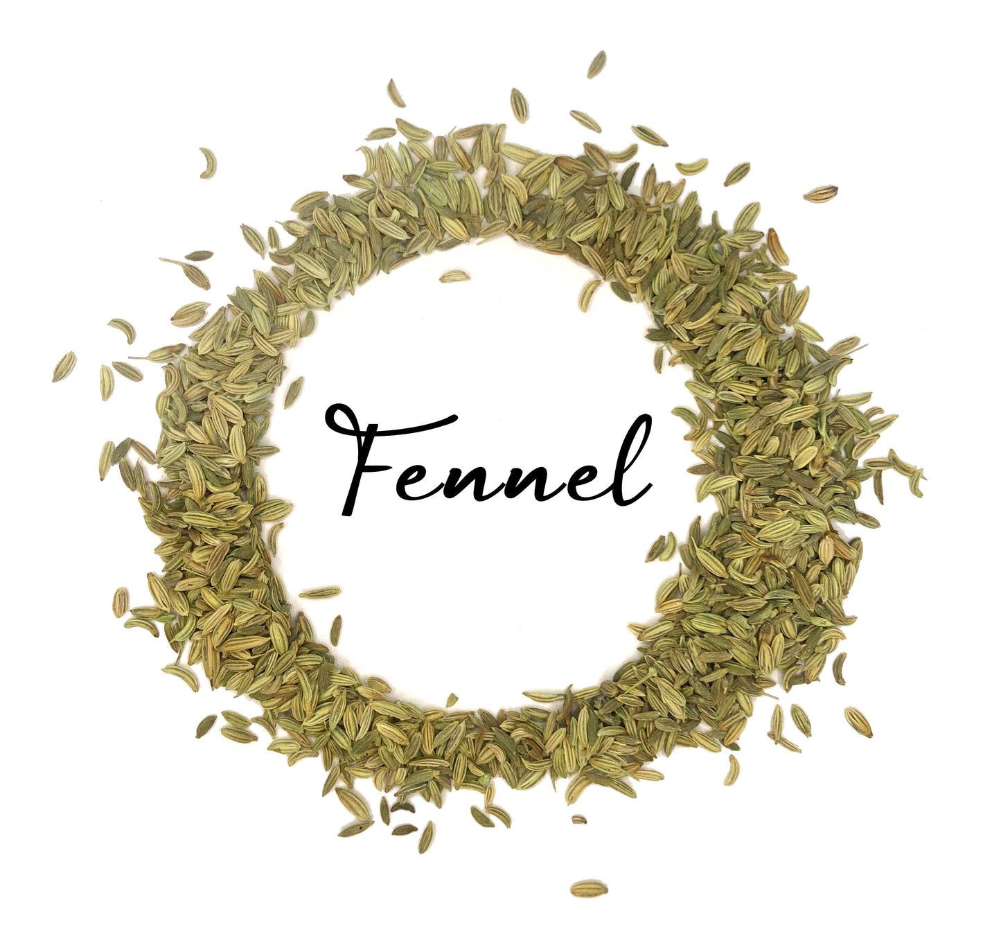 Wholesale Spices & Herbs - Fennel Seed Whole, Organic 1lb (454g) Bag