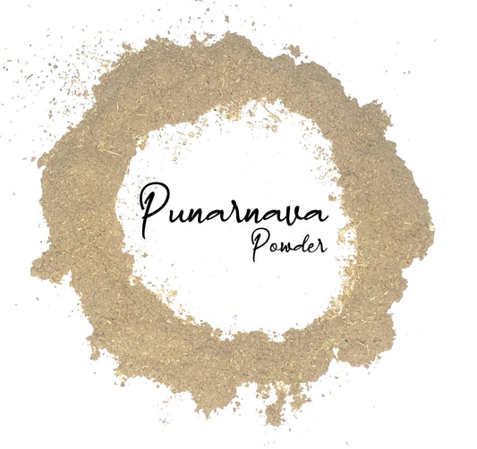 Wholesale Spices & Herbs - Punarnava Powder, Organic 1lb (454g) Bag