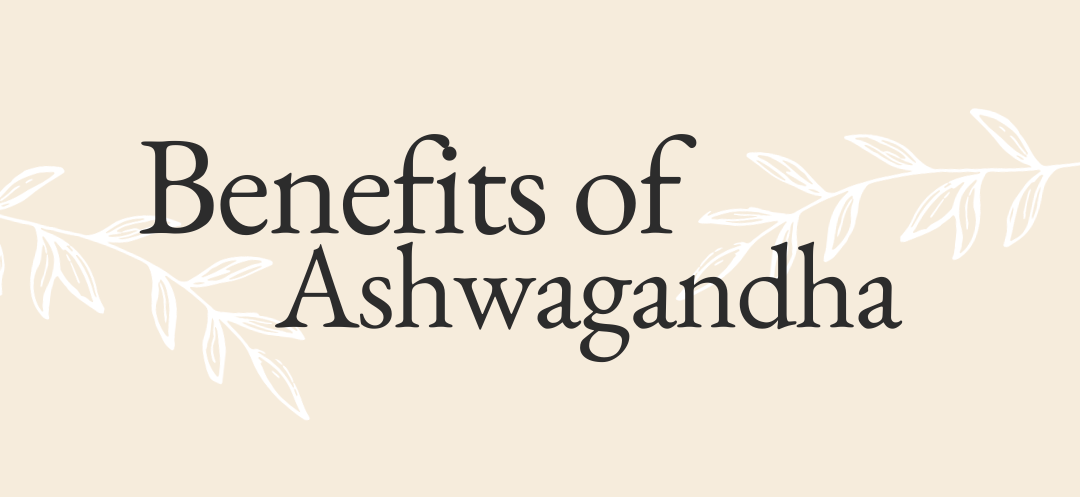 How can Ashwagandha be useful for you?