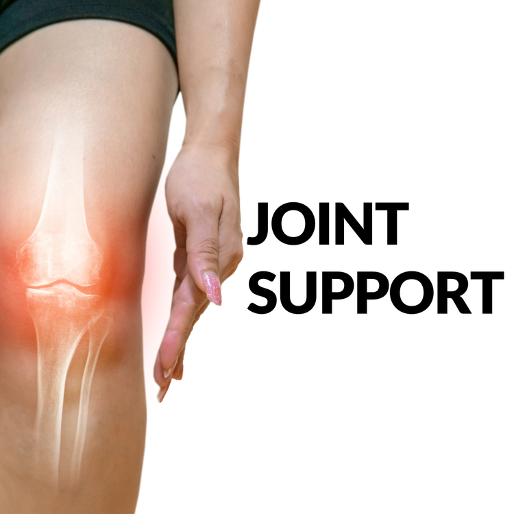Joint Support