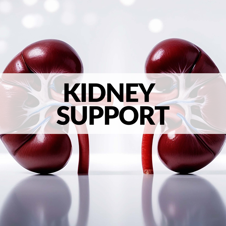 Kidney Support