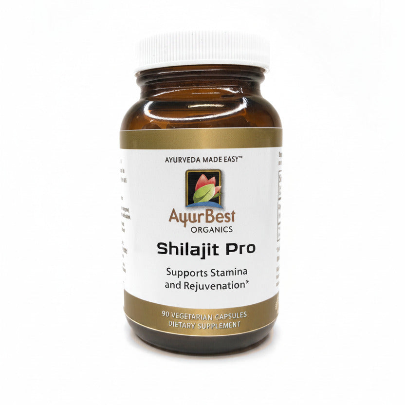 AyurBest Organics Shilajit pro supplement bottle on a white background