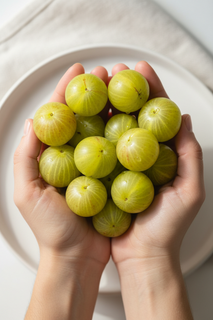 Hands holding a bunch of organic amalaki on a white plate