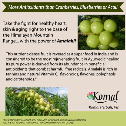 Amalaki, a key ingredient in Organic Chyawanprash that supports a healthy life.