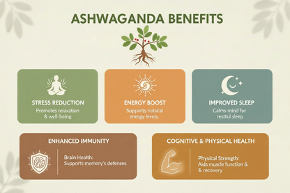 Infographic detailing the benefits of Ashwagandha with icons and text on a light background.