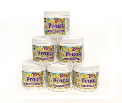 Wholesale PRAAS - Chyawanprash Organic  1.1lb (500g)