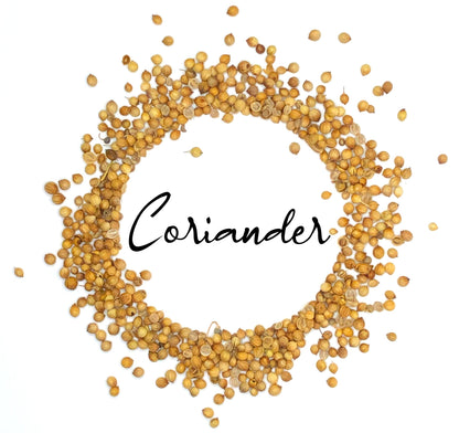 Coriander Seed Whole, Organic (Wholesale Herbs)
