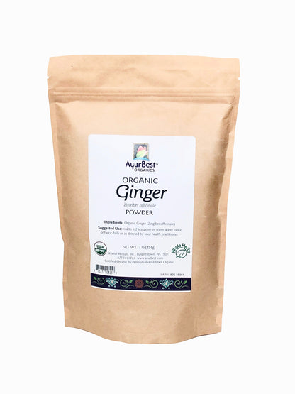 Wholesale Spices & Herbs - Ginger Powder, Organic 1lb (454g) Bag