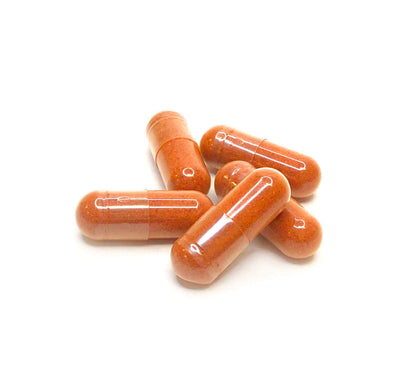 Red capsules of Manjistha Rubia cordifolia 