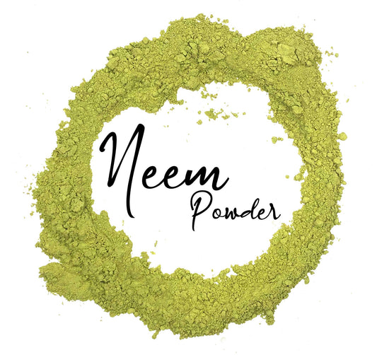 Wholesale Spices & Herbs - Neem Powder, Organic 8oz (227g) Bag