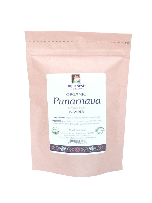 Wholesale Spices & Herbs - Punarnava Powder, Organic 8oz (227g) Bag