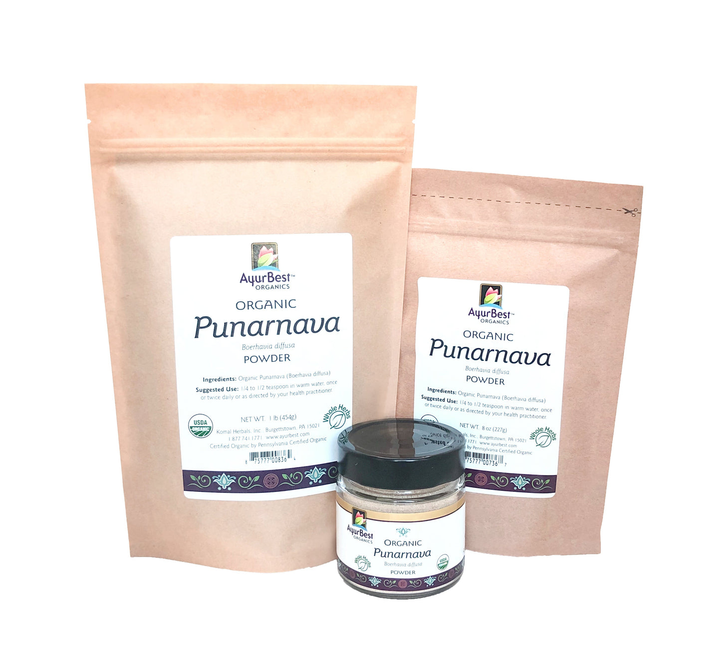 Wholesale Spices & Herbs - Punarnava Powder, Organic 1lb (454g) Bag